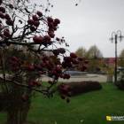 zdjęcie nr 59