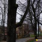 zdjęcie nr 44