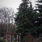 zdjęcie nr 35