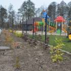 zdjęcie nr 9