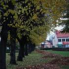 zdjęcie nr 57
